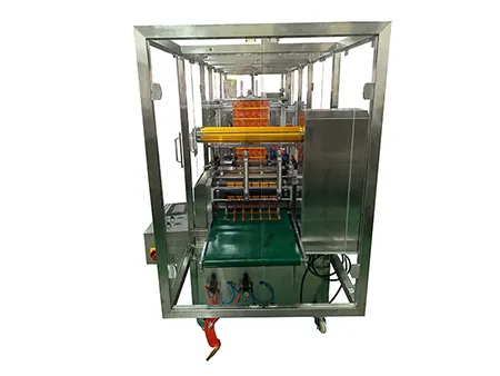 Automatic 6-Lane Oral Thin Film Packaging Machine