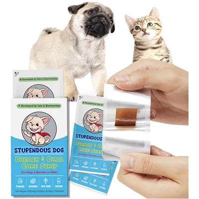 Pet Nutrition Oral Thin Film Coating Machine