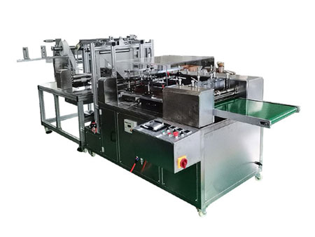 4 Side Seal Packaging Machine, PPD-APGP50
